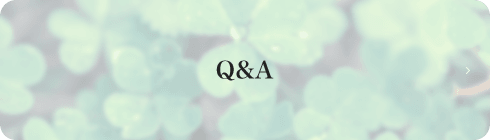 Q&A